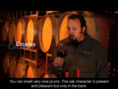 Chakana Estate Selection Malbec 2012 (SUBTITULADO)