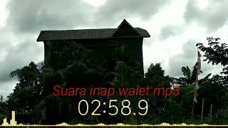 Download lagu Suara inap walet yang di buat suara panggil mp3 Download lagu Suara inap walet yang di buat suara panggil mp3