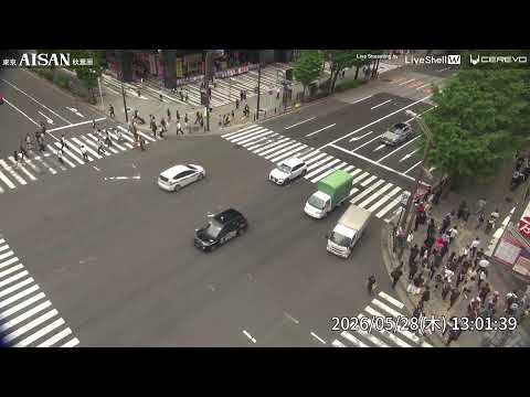 Tokyo Akihabara live cam