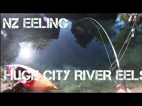 (Nz Eeling) City River Eeling