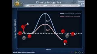 Biologia 07 - Termodinamica chimica