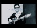 Roy Orbison  I Never Knew Lyrics