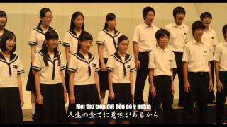 Download lagu Tegami Choir version (Vietsub) mp3