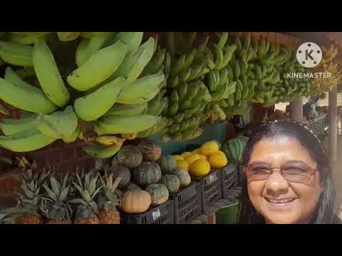 Cidade de Quipapá/PE 