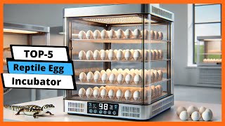 ✅ Best Reptile Egg Incubator: Reptile Egg Incubator (Buying Guide)