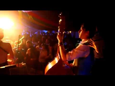 The Electric Swing Circus live @ Fieldview 2012 Jungle Jam