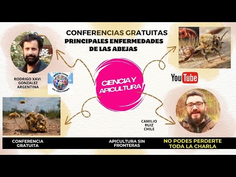 Principales Enfermedades de las Abejas Ciencia y Apicultura