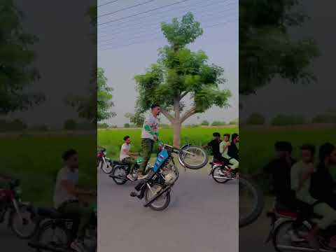 14 agust 2k23 onw wheelling jani champ 46 shah nawaz 46 pak 1 #stunt #jani #bikestunts #bike