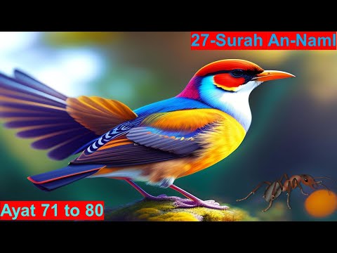 |Surah An Naml| al naml| ayat| 71  to 80 | By Sayed Saleem|