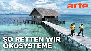 Was bringt Naturschutz? | Gute Nachrichten vom Planeten | ARTE
