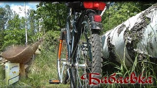 Платный пруд для рыбалки лосиный острова
