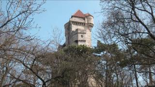 preview picture of video 'Mödling.wmv'