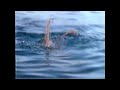 TBS Superstation The Triangle Movie Promo 2001 3 HBO Max Love Death ABC All My Children Cast