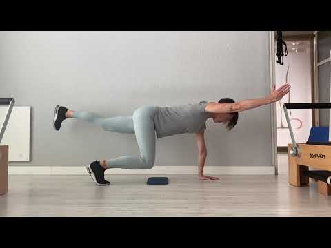BIRD DOG PROGRESIONES