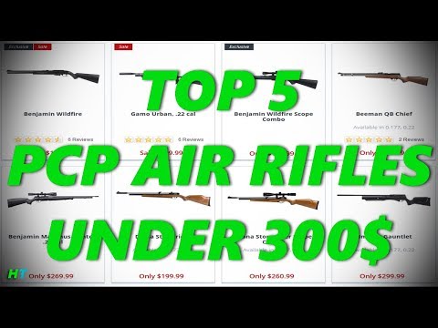 Top 5 Best Budget PCP Air Rifles Under 300$