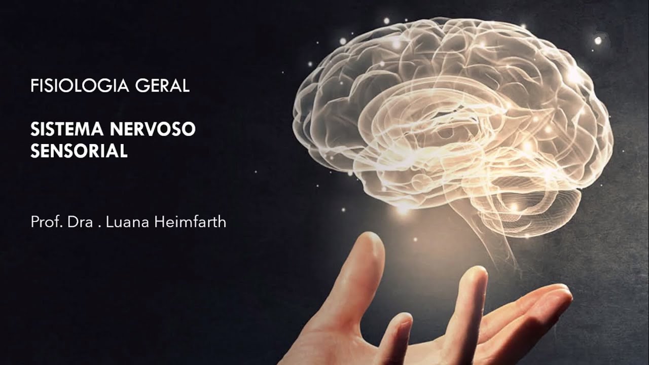 MÓDULO 1 - Aula 6: Sistema somatossensorial  - vias e córtex somatossensorial