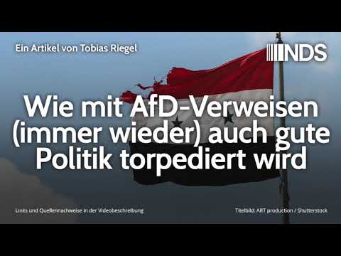 Wie mit AfD-Verweisen (immer wieder) auch gute Politik torpediert wird | Tobias Riegel | 19.11.2019