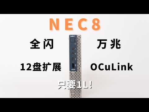 小主机只能全闪？全闪+12块硬盘+万兆我都要！NEC8爆改ALL IN ONE NAS家庭服务器存算分离实践