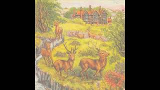 04  Current 93   The Cat Is Dead