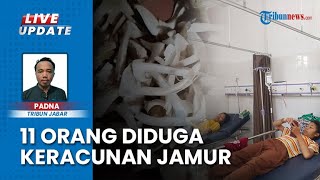 Keracunan? 11 Warga Sukamaju Pangandaran Dilarikan ke Puskesmas Mangunjaya seusai Makan Jamur