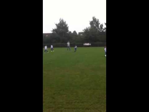 Xerxesdzb F3  - zwervers F2