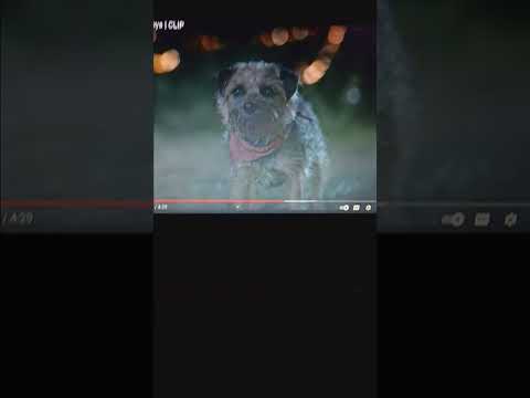 "Animal Age: The Meltdown" Part 8 - Miscreants