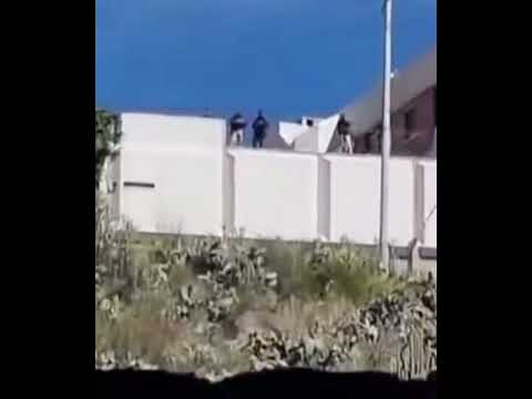 🏛️ REFUERZAN SEGURIDAD EN RESIDENCIA DE SAN JORGE: Marcha de Palca avanza hacia el centro paceño