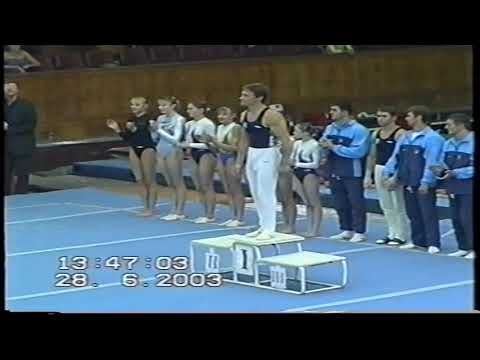 А. Береш, А. Светличный, С. Вяльцев и др. на Летних Играх по спортивной гимнастике в 2003 году.