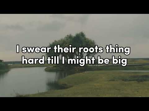 Aero Chord feat. DDARK - Shootin Stars (Lyrics)