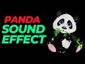 Panda sound effect no copyright | Panda noises | Panda sounds | HQ Panda sound effects
