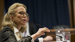 Another Fox in the Chicken Coop