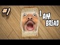RAGE GAME 11 I Am Bread 1