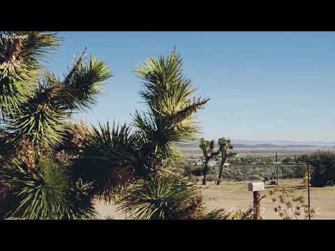 Swanky Tunes  Ya Rick moonlight (GA37MUSIC клип)