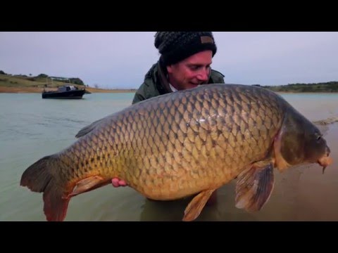 ***En session avec Fox Volume 4*** Le Film Full HD