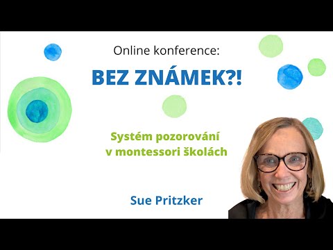The observation system in Montessori schools | Sue Pritzker