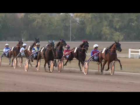 2018.10.20. 07. futam - ŐSZI KANCA DÍJ