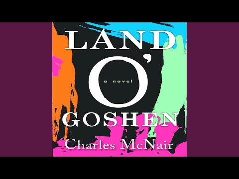 Chapter 20 - Land o'goshen