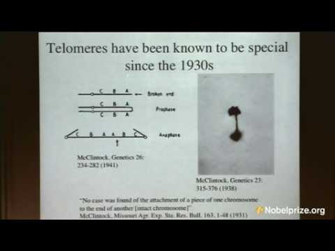 2009 Nobel Lecture in Physiology or Medicine by Jack W. Szostak