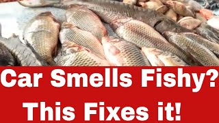 Odor-Blasting Tips: How to Get Fish Smell Out of Your Car Today!