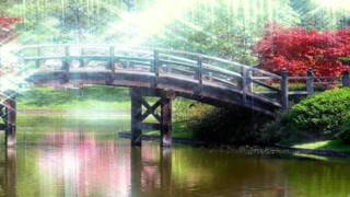 TENGO GANAS DE VIVIR  CAMILO SESTO  Disco TUYO 1985