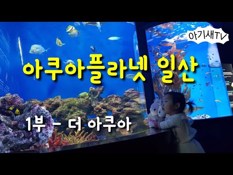 아쿠아플라넷 일산 | 더 아쿠아 | 바닷속 친구들을 만나러 출발!
