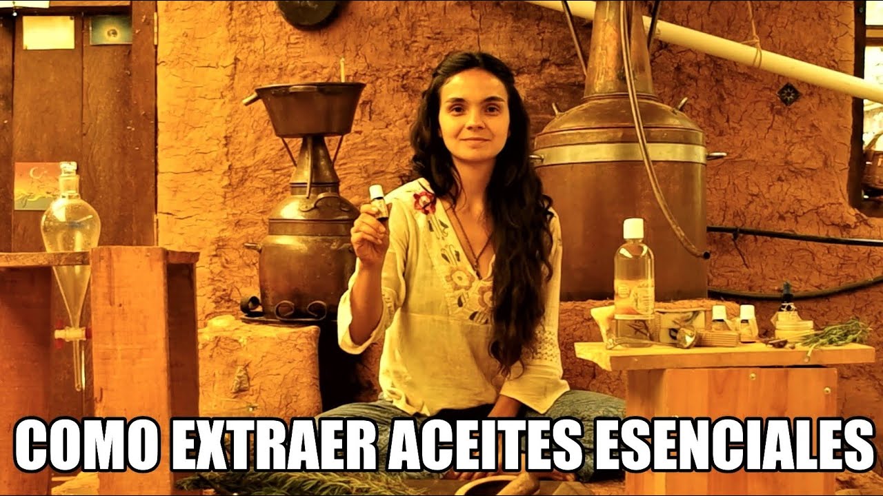 Como extraer ACEITES ESENCIALES. LA MEJOR FORMA. Orgánicos y artesanales.