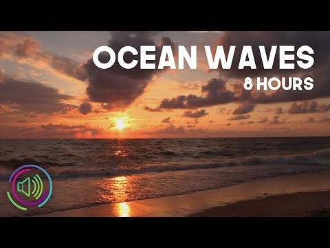 Ocean Waves with Seagulls Nature Beach Sounds for Sleep and Study | 8 Hours