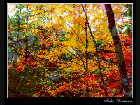 Fall Foliage Beacon Falls Ct. .... Pachelbel meets U2