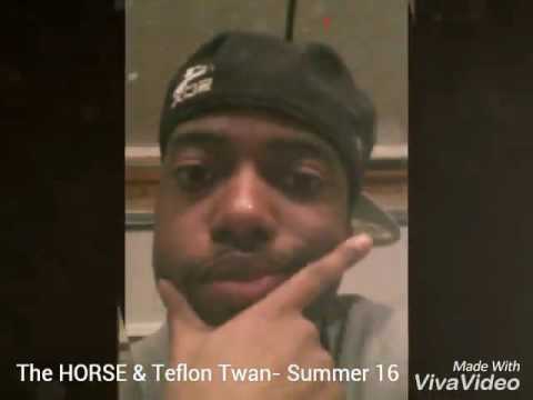*Unreleased* The HORSE x Teflon Twan- Summer 16