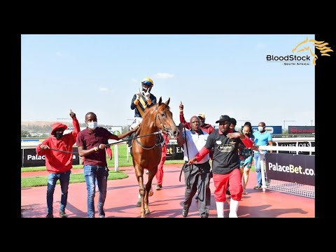 MK'S PRIDE - THE JOURNEY SO FAR