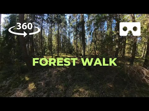 VR 360 Video: Forest Walk