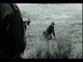 Deftones-Anniversary of an Uninteresting Event