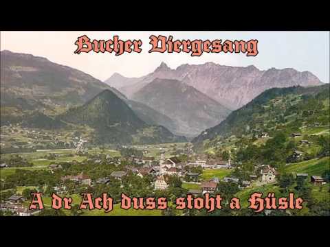 Bucher Viergesang - Bua, wuist d' auf d'Oima fahr'n