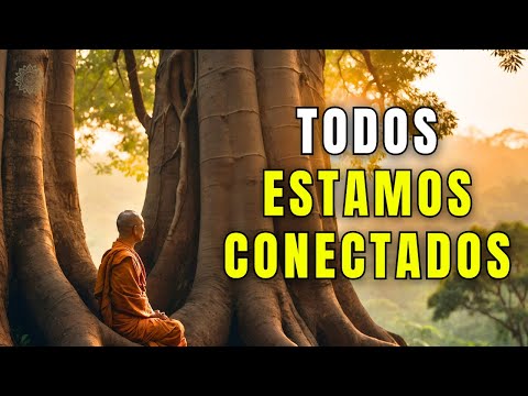 TODO ESTÁ CONECTADO: Una Verdad que Cambia Tu Vida | BUDISMO